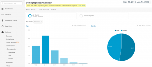 How to review your customer vs visitor demographic profiles in Google Analytics