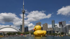 Daphne the giant inflatable duck is safe after a week lost at sea