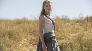 The ultimate guide to every secret message from the 'Westworld' Season 2 hidden website