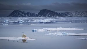 Arctic sea ice maxes out at second-lowest level on record